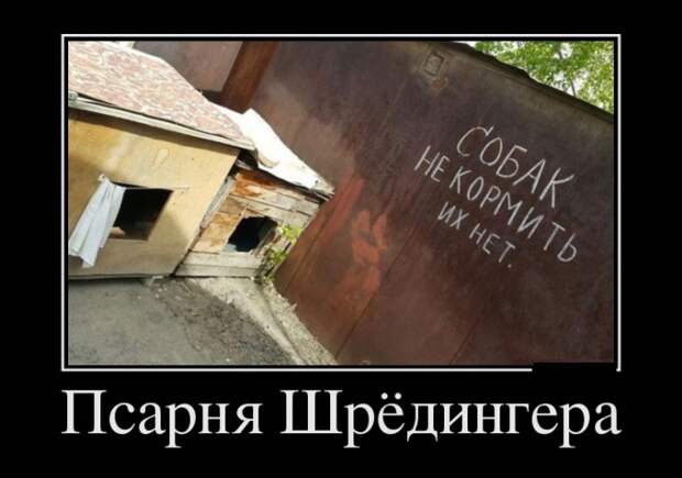 Демотиваторы (30 фото)