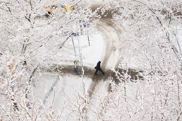 Москвичам пообещали 20-градусные морозы после оттепели