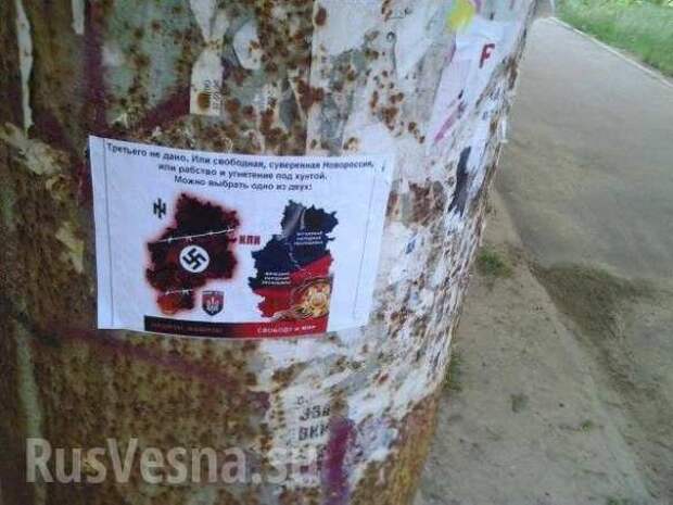 В Одессе появились «сепаратистские» листовки (ФОТО) | Русская весна