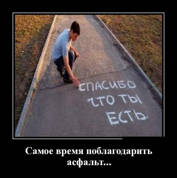 Демотиваторы на субботу (30 фото)