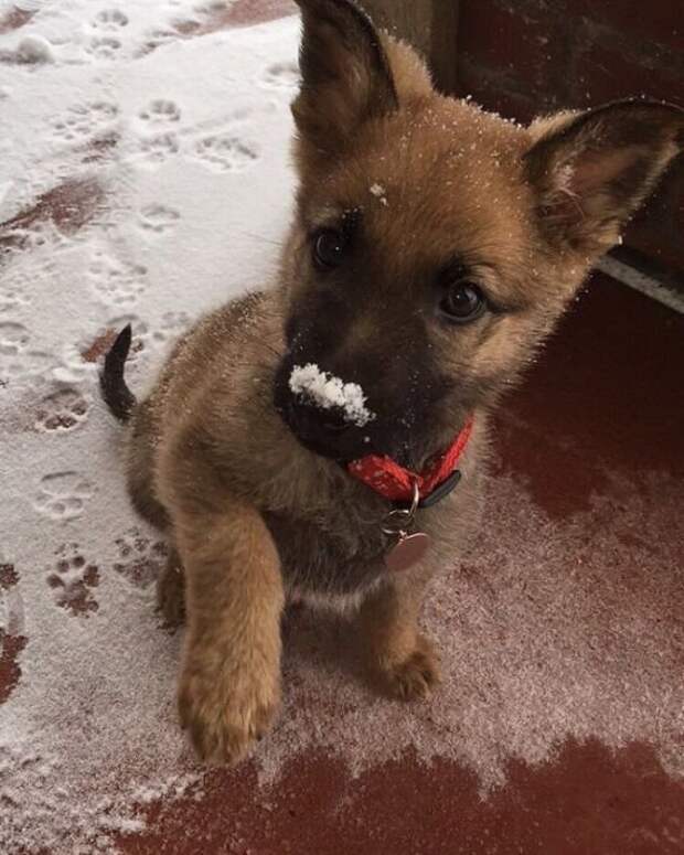 Прикольные картинки абавсём:D (05.05.16)