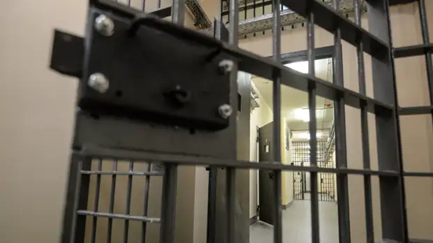 В ОНК сообщили об условиях содержания в СИЗО главы «Инвестнефтетрейда» Сергея Невского