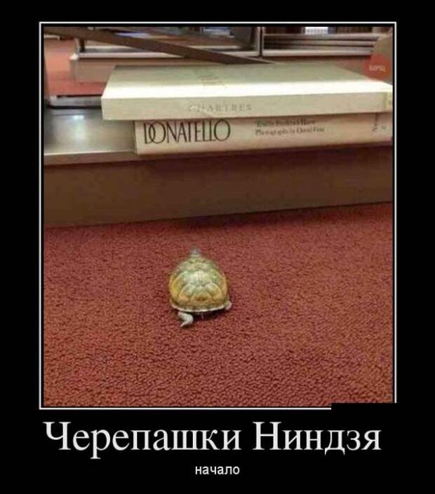 Демотиваторы (30 фото)
