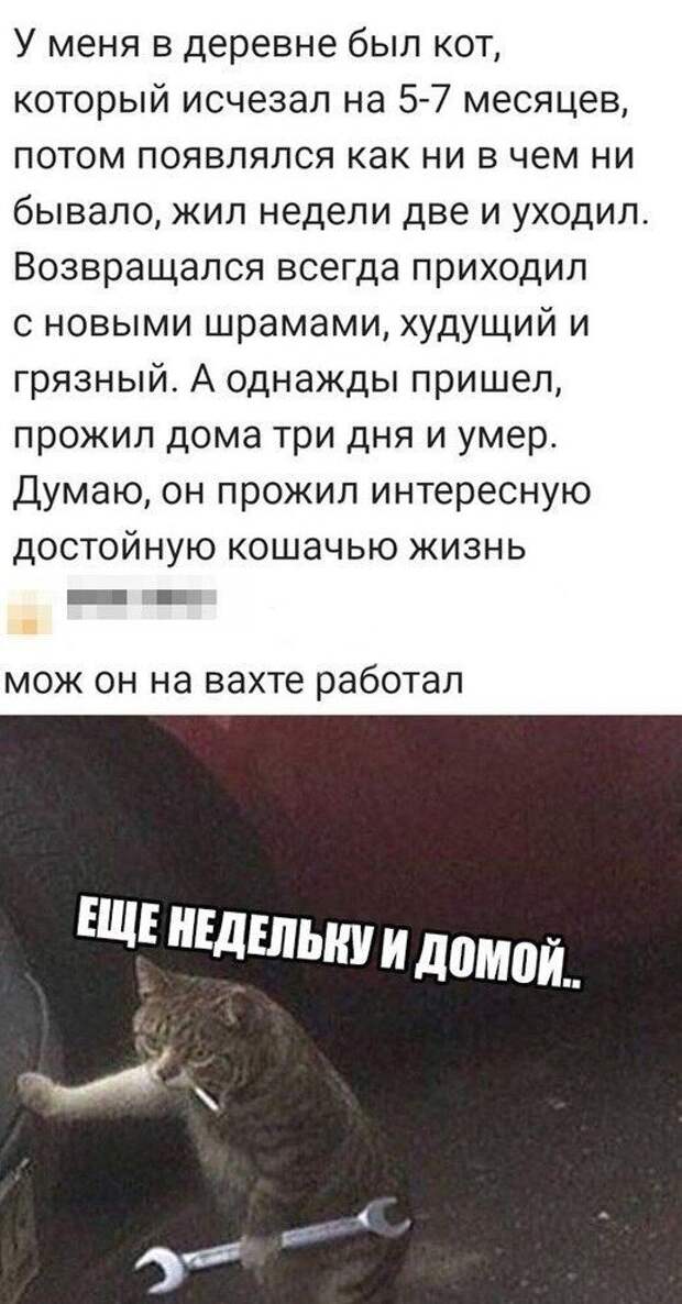 xvyaq9qnyss.jpg
