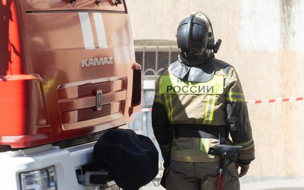 В российском городе на балкон жилого дома рухнуло дерево