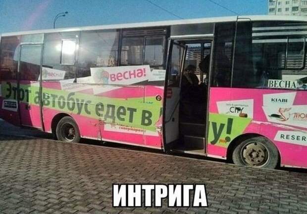 Автомобильные приколы. Часть 229 (27 фото)