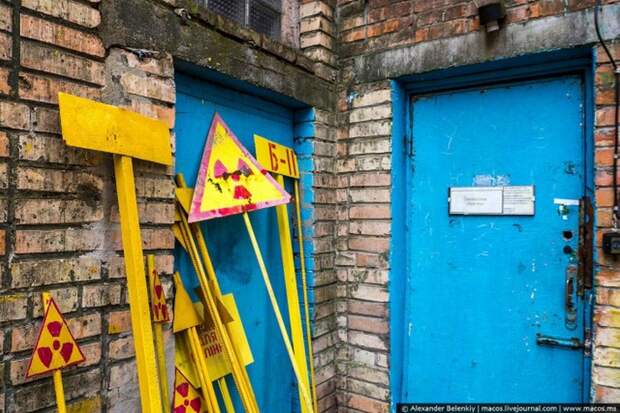 Мёртвый город Припять. Джунгли Чернобыля Мёртвый город Припять. Джунгли Чернобыля
