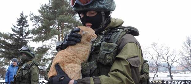 http://www.rubaltic.ru/upload/resize_cache/iblock/2cb/722_500_1/2cb0e493d7c802e1b2abdf9424076d3f.jpg