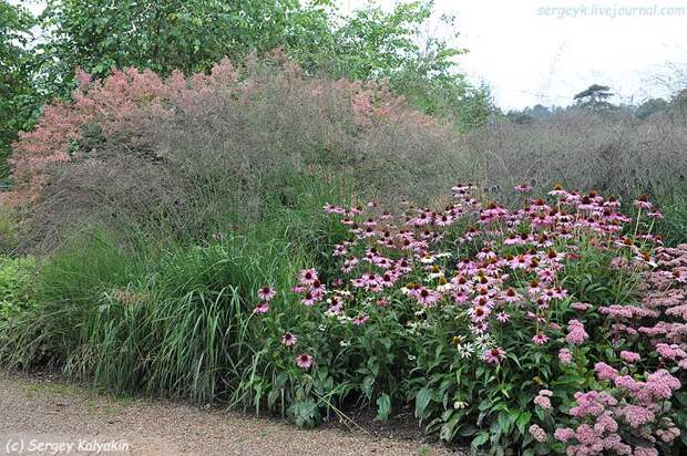 Trantham Gardens 106.JPG