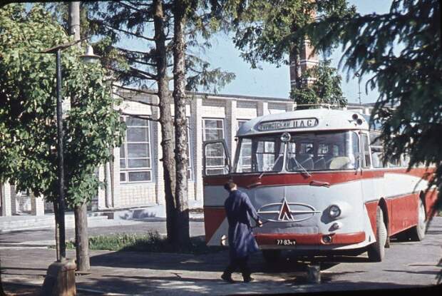 Туристический автобус ЛАЗ в 1967 году. 