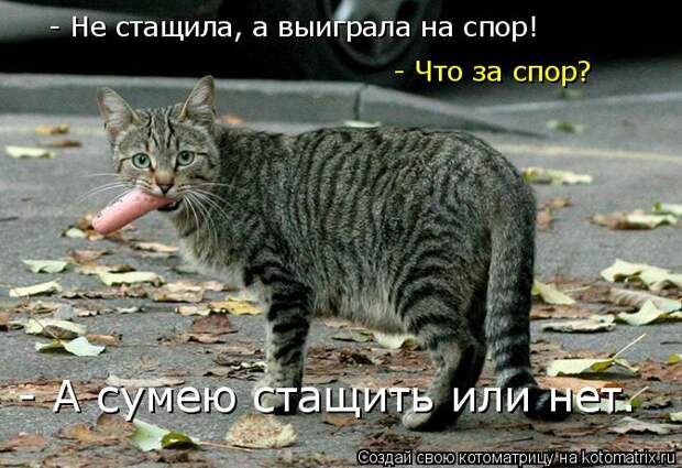 Котоматрица: - Не стащила, а выиграла на спор! - Что за спор? - А сумею стащить или нет.