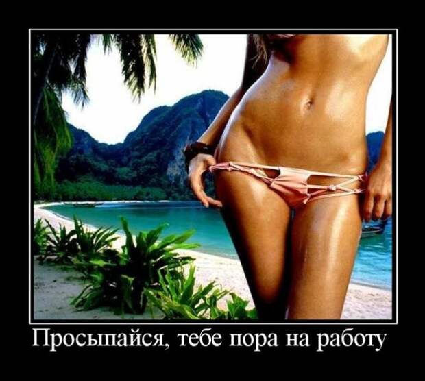 Демотиваторы (30 фото)