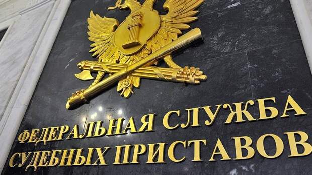 Приставы напомнили, что коллекторы не имеют права звонить чаще раза в день Приставы напомнили, что коллекторы не имеют права звонить чаще раза в день