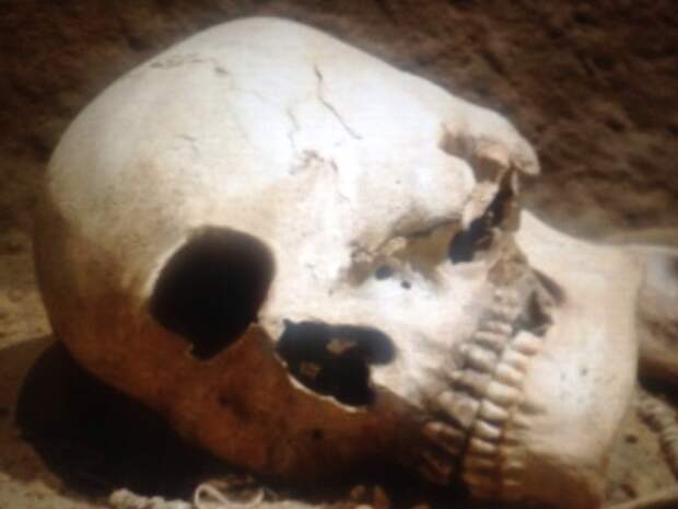 2. В Северной Америке нашли череп циклопа. история, факты
