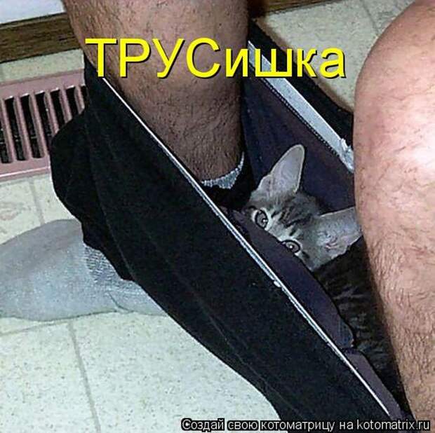 Мысли вслух :)