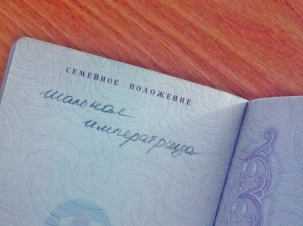 Объявления, надписи и записки, которые могли написать только женщины (17 шт)