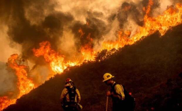 Пожары в Калифорнии: из чего состоит дым и чем он опасен?