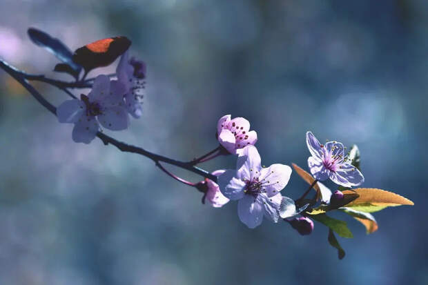 Весна делает паузу: Синоптики сделали неутешительный прогноз