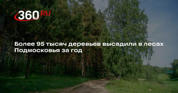 Более 95 тысяч деревьев высадили в лесах Подмосковья за год