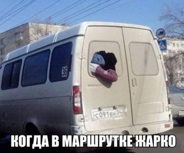 Прикольные картинки и забавные фото (33 шт)