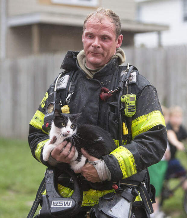 firefighters-rescuing-animals-saving-pets-3-5729a8fabff33__605