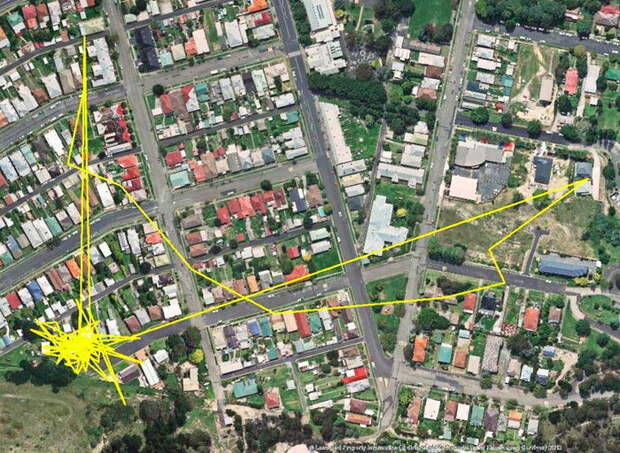 Куда ходит ваша кошка ночью: GPS-анализ похождений Куда ходит ваша кошка ночью: GPS-анализ похождений