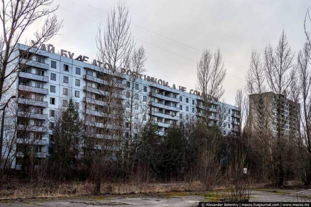 Мёртвый город Припять. Джунгли Чернобыля Мёртвый город Припять. Джунгли Чернобыля