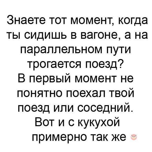 Короткие истории, которые сделают ваше настроение веселее