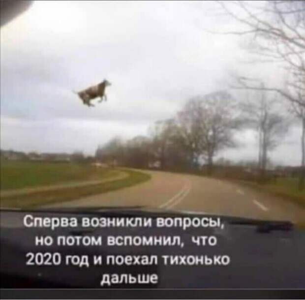 2020-й заканчивается: к чему готовимся? 2020-й заканчивается: к чему готовимся?