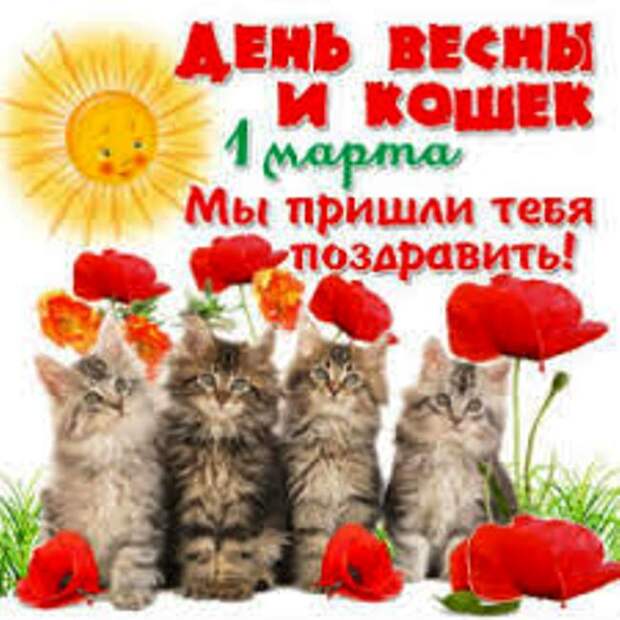 красивая-открытка-с-днем-кошек
