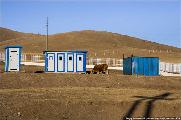 Дороги Монголии