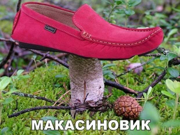 Прикольные фотомемы для настроения (31 шт)