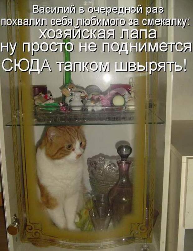 Мысли вслух :)