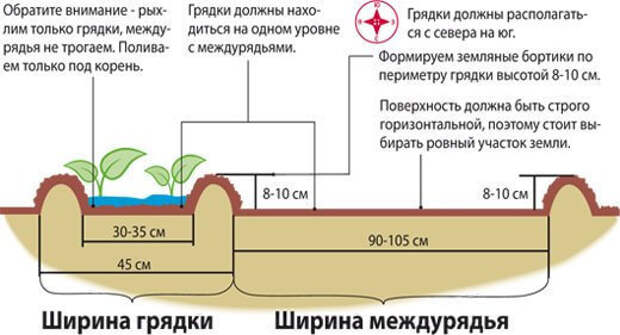 Как правильно разместить грядки на участке по сторонам света схема