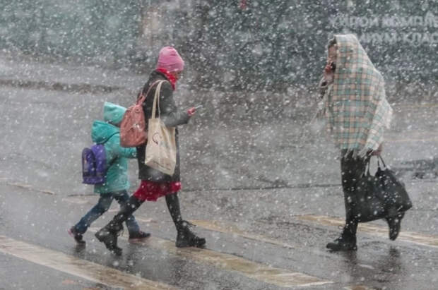 Синоптик Цыганков спрогнозировал снег с дождем в Москве 8 апреля