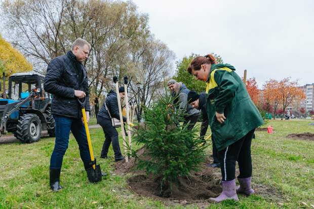 Петербуржцев приглашают высадить деревья в городских парках. Вот расписание акций