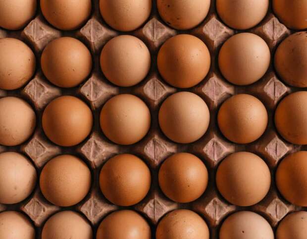 В России приготовят гигантскую яичницу из полутора тысяч яиц