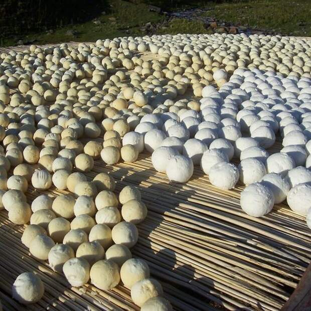 Kurt drying outside in Kyrgyzstan