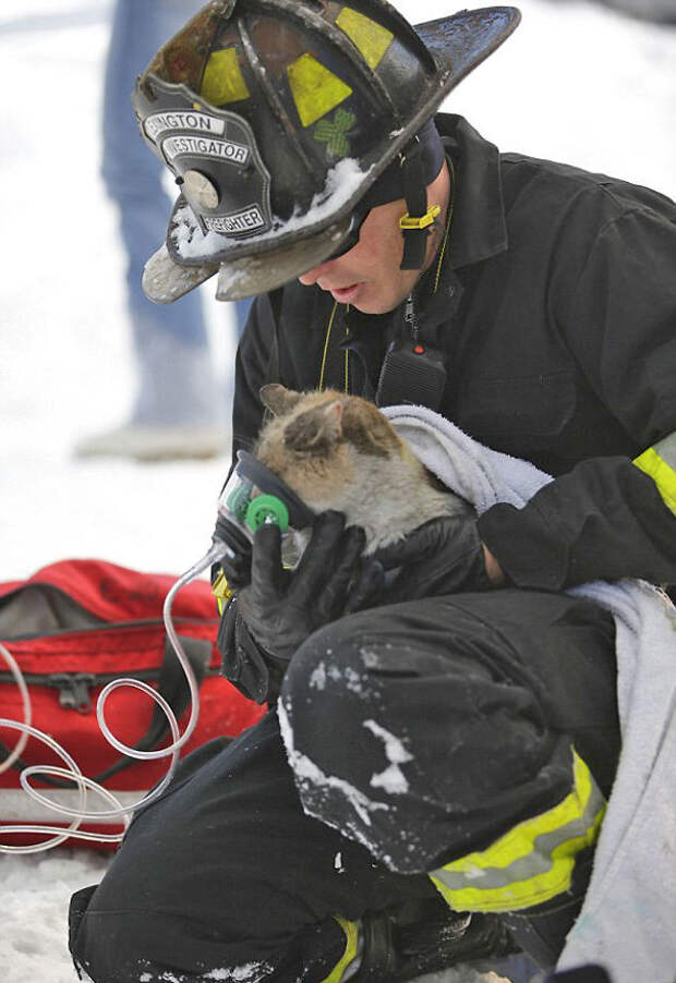 firefighters-rescuing-animals-saving-pets-29-5729ff6c27353__605