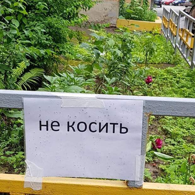 Мастерские объявления, передающие самую суть Мастерские объявления, передающие самую суть
