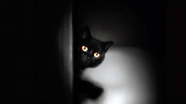 Зловещая Тьма