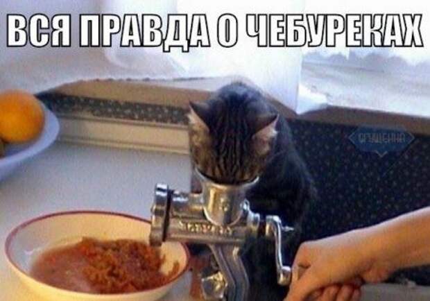 Смехотерапия Писца. Класс!