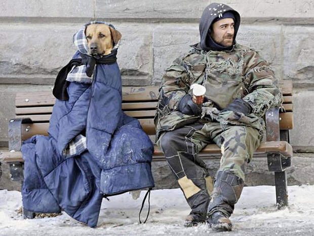 dogs_dont_care_about_money_all_they_need_is_love_640_26