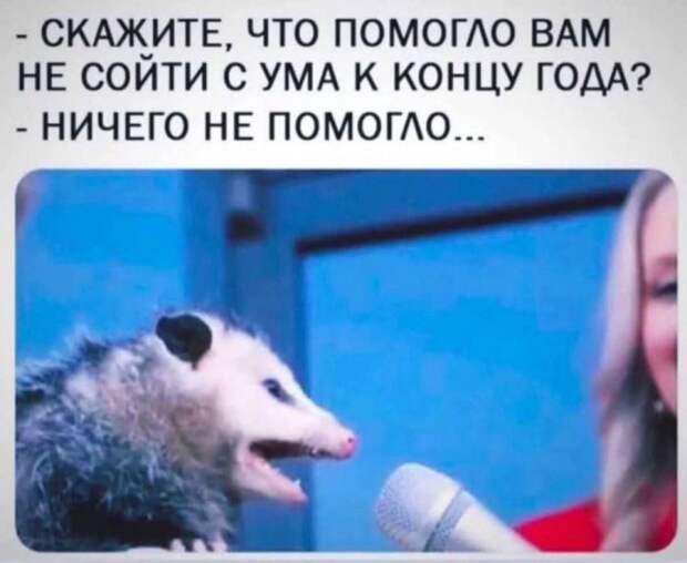 Понедельник с улыбкой: свежие мемы для позитивного старта рабочей недели!