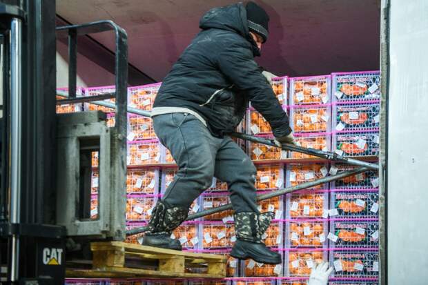 Одна страна стала поставлять России больше мандаринов