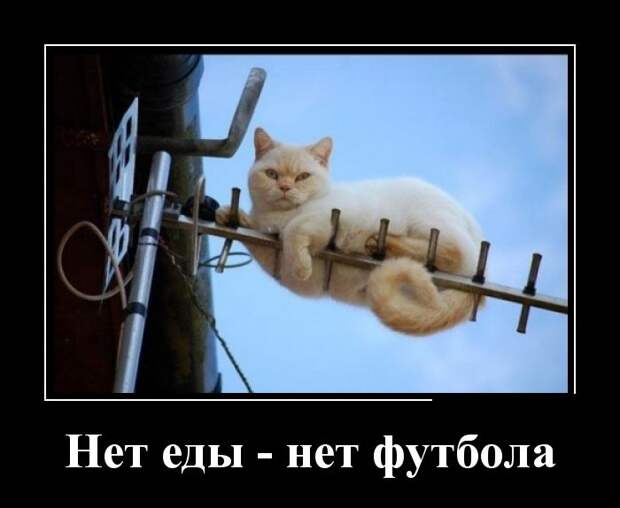 Демотиваторы (30 фото)