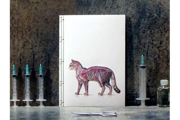 Fabulous Cat Papers