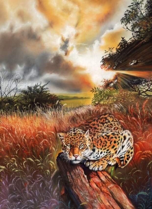 Притаившийся зверь. Автор: Peter Williams. Притаившийся зверь. Автор: Peter Williams.