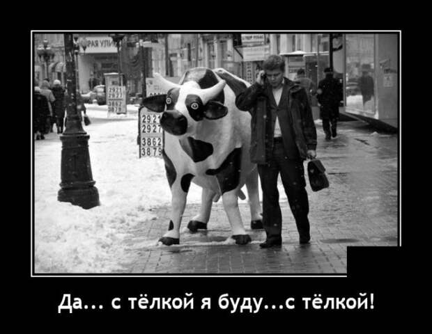 Демотиваторы 14 января 2022 года
