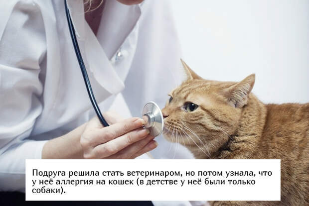 Люди, которые выбрали себе профессию не по плечу Люди, которые выбрали себе профессию не по плечу